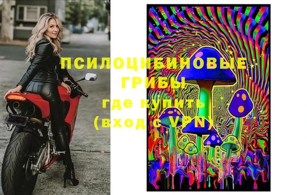 a pvp Вязники