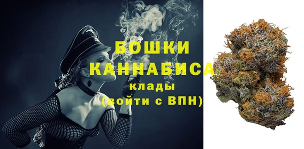 дживик Горнозаводск