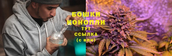 альфа пвп Вяземский