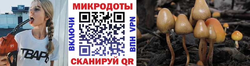 Галлюциногенные грибы GOLDEN TEACHER  Купить  Неман 