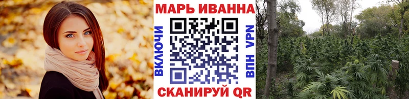 Купить где Неман Бошки марихуана OG Kush